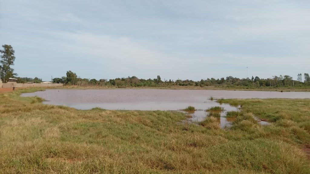 Maria Eloir pede a realização de projeto visando a revitalização da Lagoa Brasil